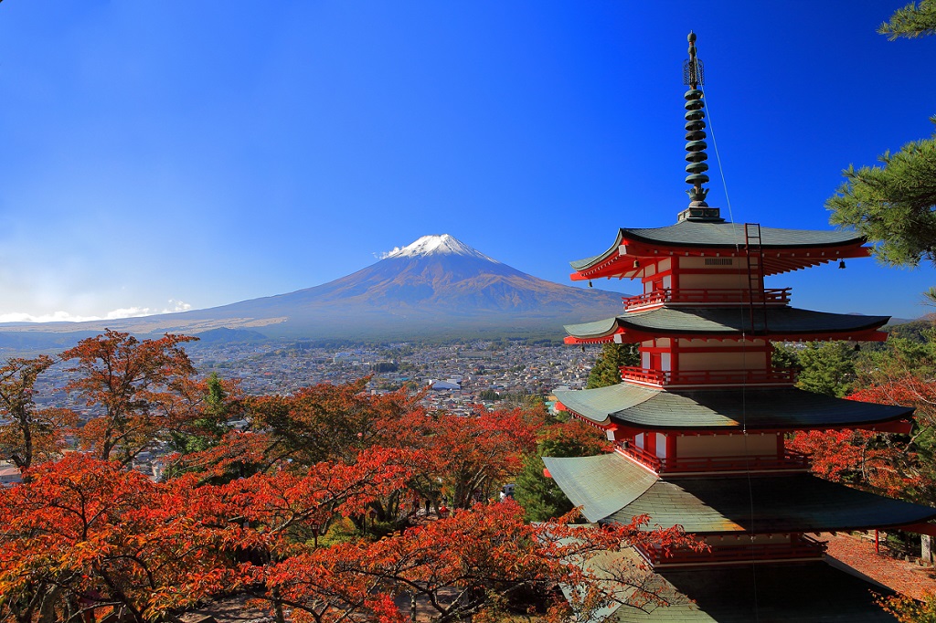 Arakurayama Sengen Park　Photo courtesy of Yamanashi Tourism Promotion Organization