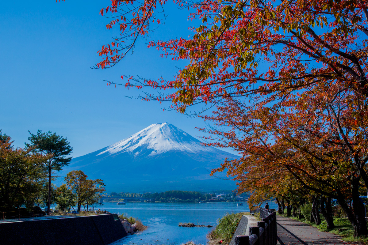 View of Mt. Fuji (Autumn)