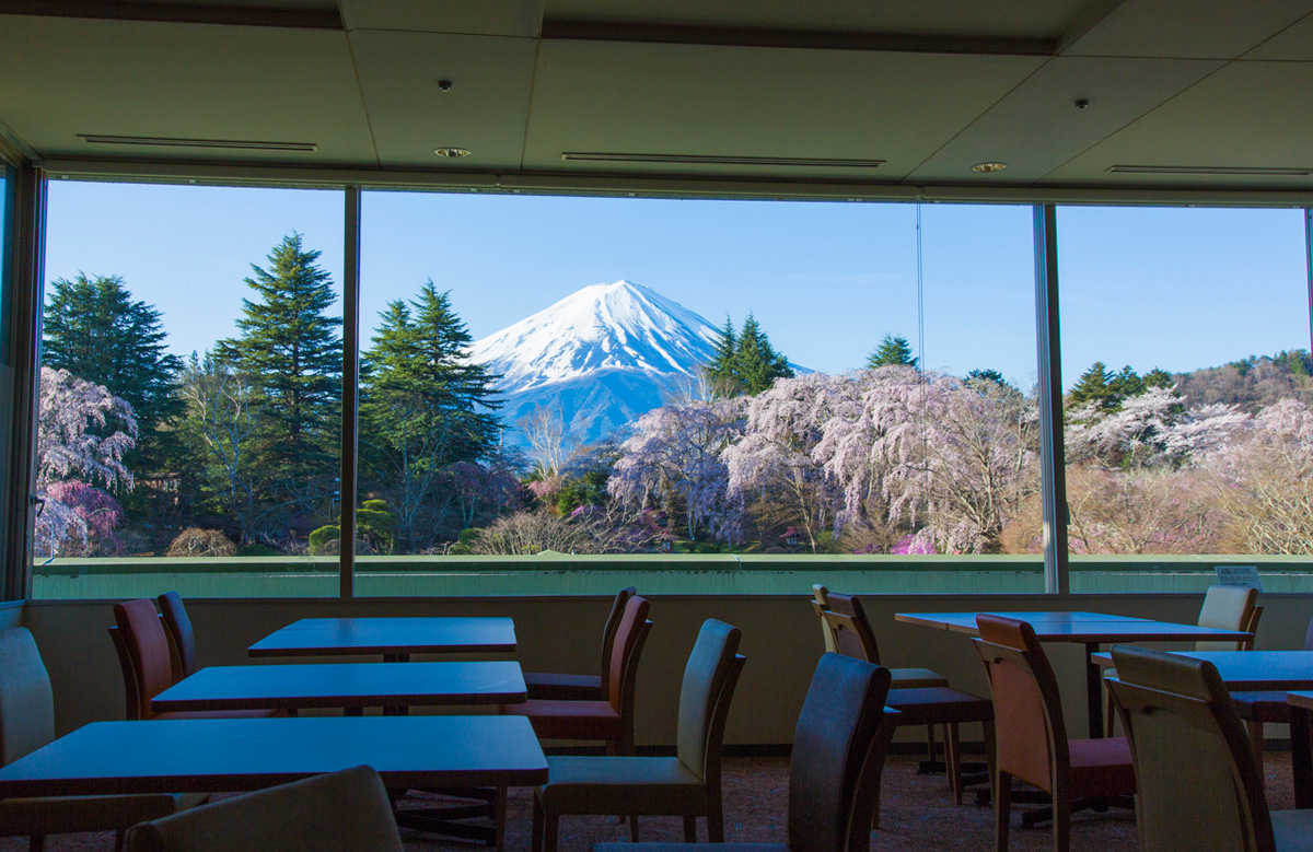 Fuji View Lounge(Breakfast Buffet)