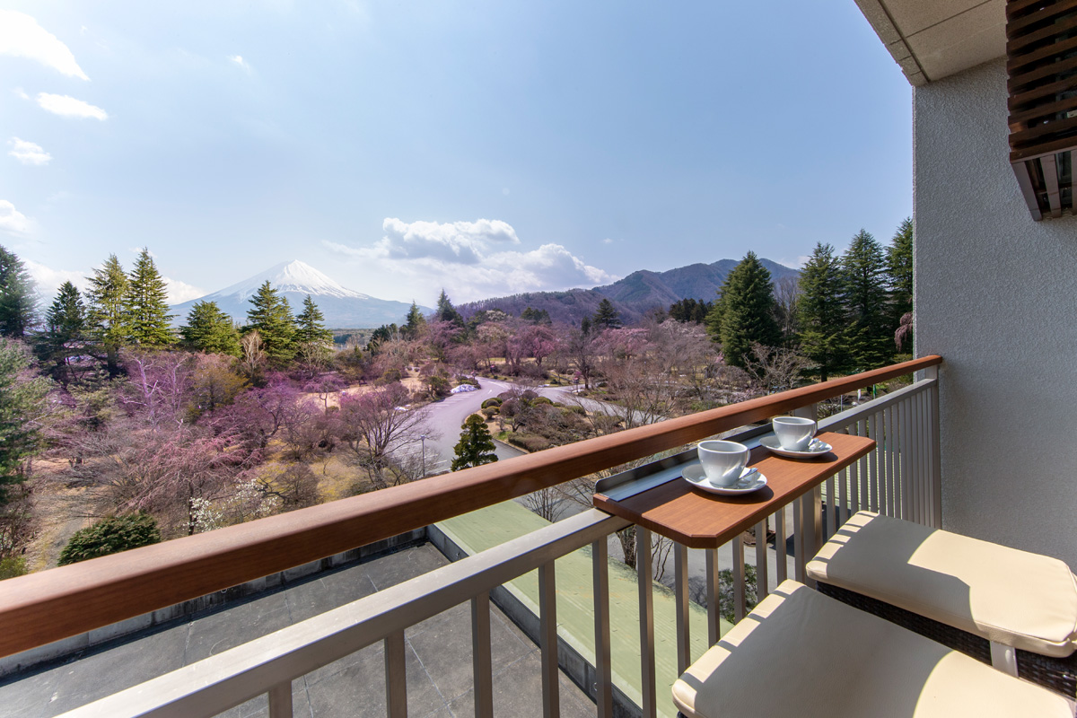 View from Japanese-style Twin Room