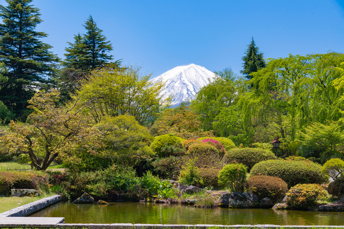 View of Mt. Fuji