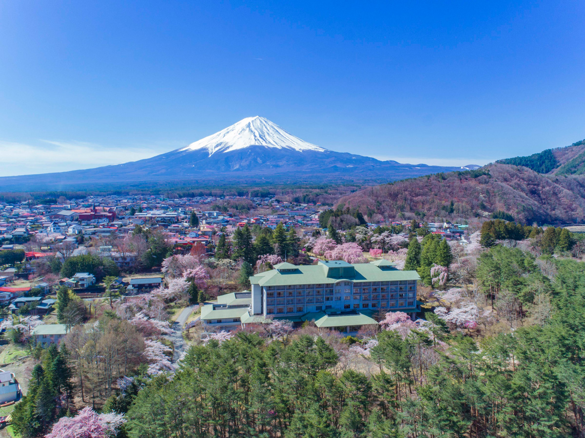 View of Mt. Fuji (Spring)