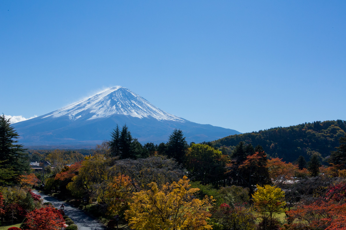 Panorama Lounge (Autumn)