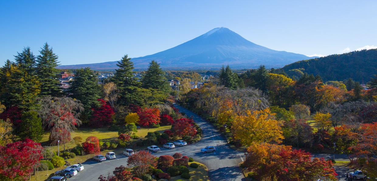 Panorama Lounge (Autumn)